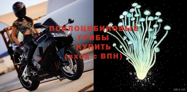 мдпв Киреевск